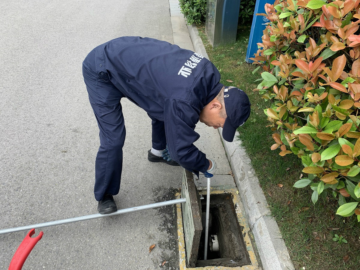 IMG_0949.JPG IMG_0949.JPG